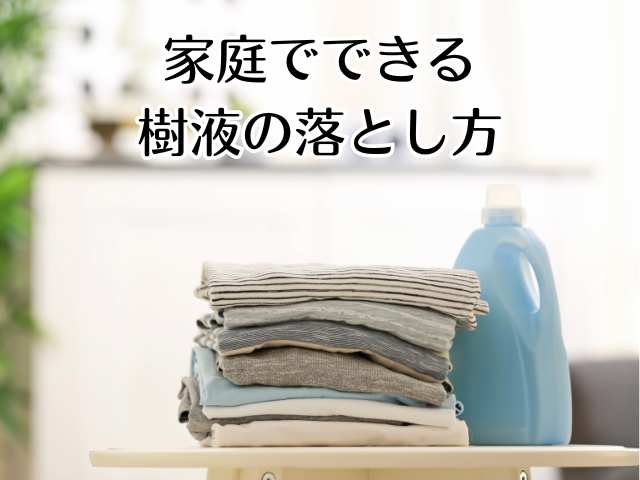 家庭でできる樹液の落とし方【素材別】