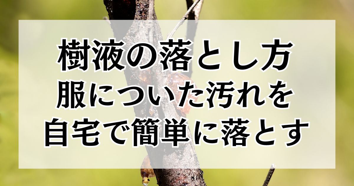 樹液の落とし方｜服についた頑固な汚れを自宅で簡単に落とす方法 (5)