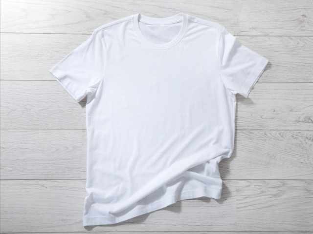 Ｔシャツの写真