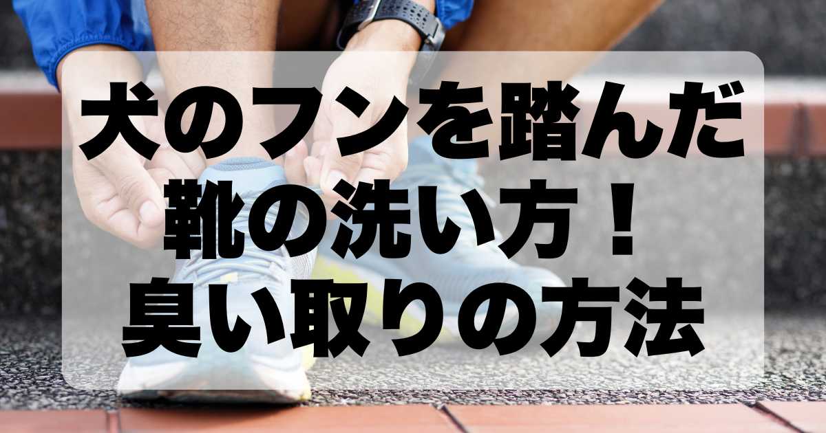 犬のフンを踏んだ靴の洗い方！臭い取りの方法とすぐできる対処法を詳しく解説！