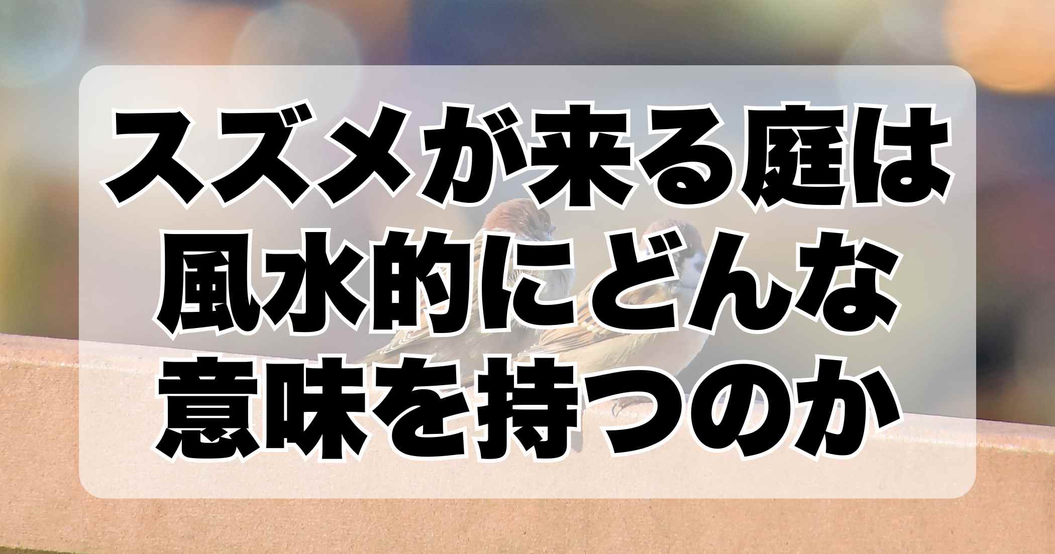 スズメが来る庭は風水的にどんな意味を持つのか